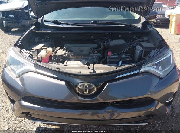 2T3RFREVXHW557004 2017 TOYOTA RAV4 Gray Вид ззаду