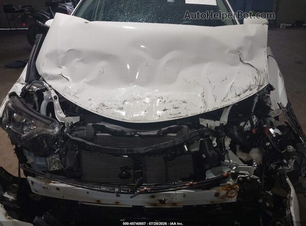 2T3RFREVXHW683198 2017 TOYOTA RAV4 White Вид ззаду
