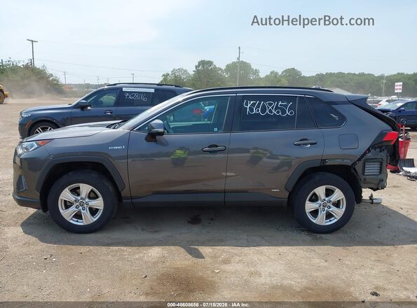 2T3RWRFV0LW092353 2020 TOYOTA RAV4 HYBRID Gray 