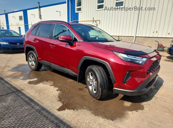 2T3RWRFV0SW258448 2025 TOYOTA RAV4 Red Delantero derecho