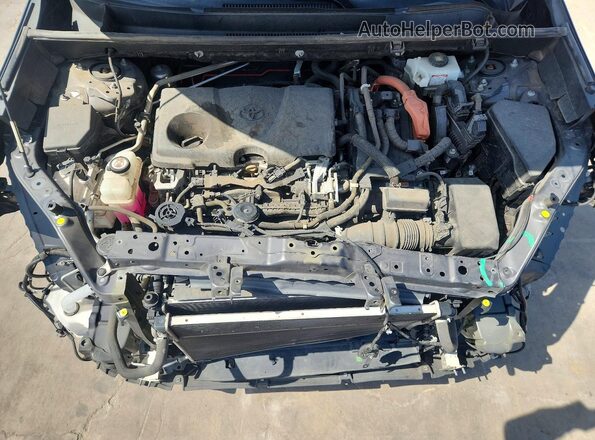 2T3RWRFV3KW031593 2019 TOYOTA RAV4 Серый Вид задней части салона