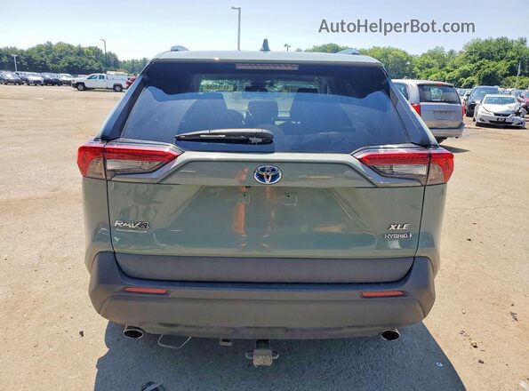 2T3RWRFV3LW059976 2020 TOYOTA RAV4 Gray Вид ззаду