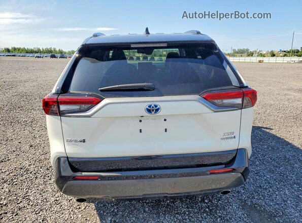 2T3RWRFV4KW034258 2019 TOYOTA RAV4 White Вид ззаду