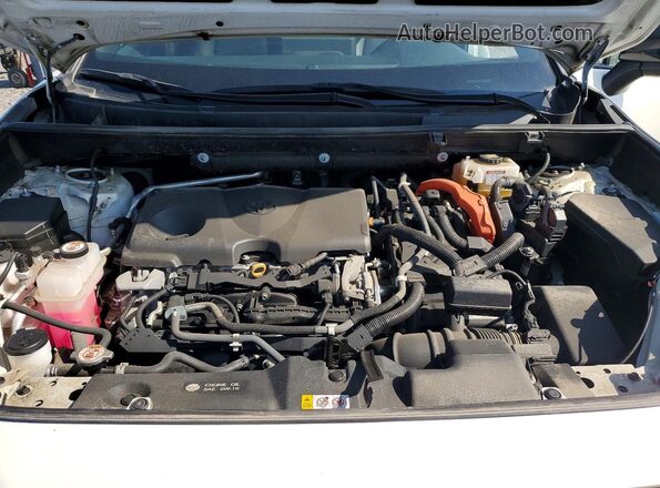 2T3RWRFV4KW034258 2019 TOYOTA RAV4 White Вид підкапотного простору