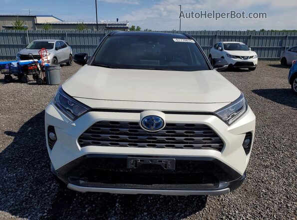 2T3RWRFV4KW034258 2019 TOYOTA RAV4 White Вид спереду