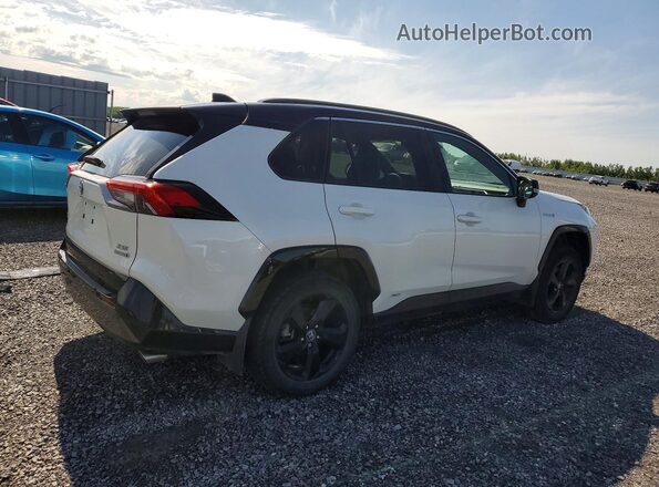 2T3RWRFV4KW034258 2019 TOYOTA RAV4 White Задня права чверть