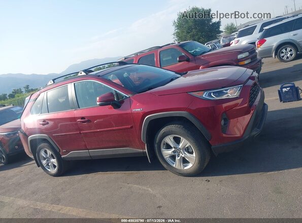 2T3RWRFV4MW125808 2021 TOYOTA RAV4 HYBRID Red Սալոնի հետևի տեսք