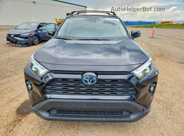 2T3RWRFV4RW236107 2024 TOYOTA RAV4 Black Вид спереду