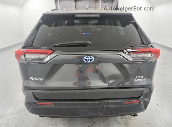2T3RWRFV4RW242988 2024 TOYOTA RAV4 Gray Вид ззаду
