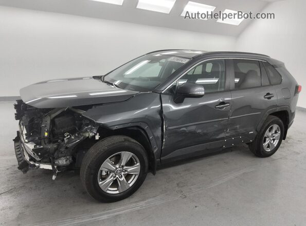 2T3RWRFV4RW242988 2024 TOYOTA RAV4 Gray 