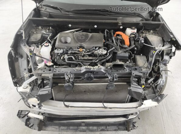 2T3RWRFV4RW242988 2024 TOYOTA RAV4 Gray 