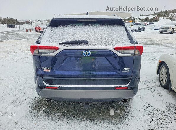 2T3RWRFV5MW111027 2021 TOYOTA RAV4 Синий Вид сзади