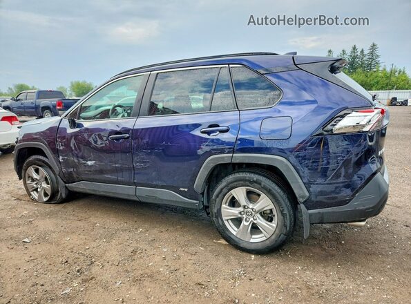 2T3RWRFV5RW222975 2024 TOYOTA RAV4 Blue Задня ліва чверть