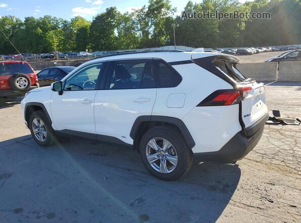 2T3RWRFV5SW265637 2025 TOYOTA RAV4 Белый Задняя левая четверть