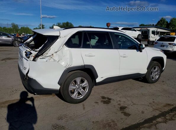 2T3RWRFV5SW265637 2025 TOYOTA RAV4 Белый Задняя правая четверть