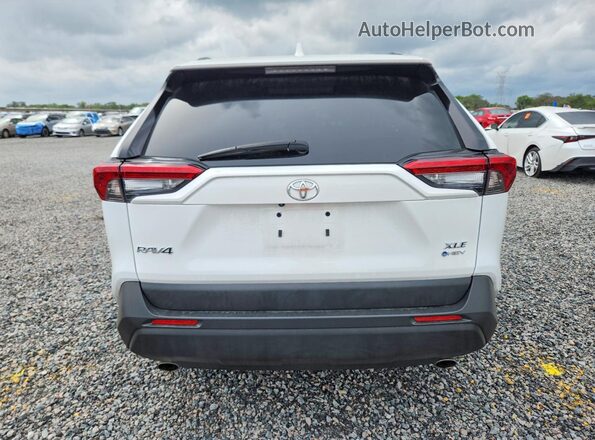 2T3RWRFV5SW270885 2025 TOYOTA RAV4 Белый Вид сзади