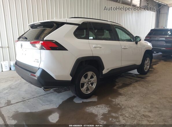 2T3RWRFV6LW076223 2020 TOYOTA RAV4 HYBRID White Tył prawy