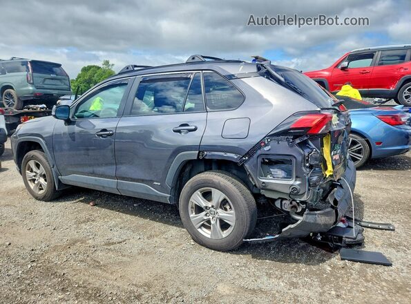 2T3RWRFV6RW222452 2024 TOYOTA RAV4 Серый Задняя левая четверть
