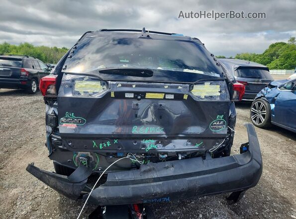 2T3RWRFV6RW222452 2024 TOYOTA RAV4 Серый Вид сзади