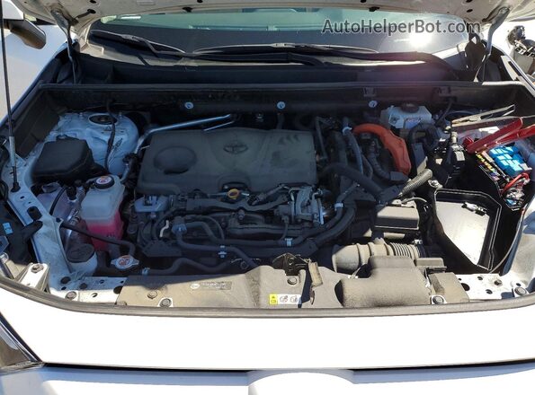 2T3RWRFV7LW049807 2020 TOYOTA RAV4 White Vista interior trasera