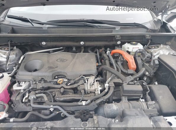 2T3RWRFV7LW091782 2020 TOYOTA RAV4 HYBRID Gray უკანა ხედი