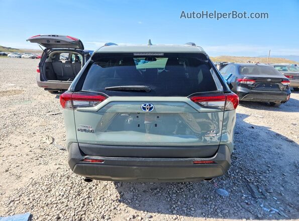 2T3RWRFV7MW114298 2021 TOYOTA RAV4 Gray უკანა ხედი