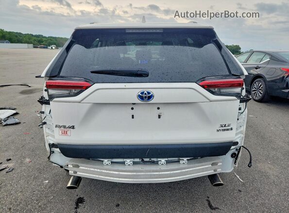 2T3RWRFV7RW198162 2024 TOYOTA RAV4 White Հետևի տեսք