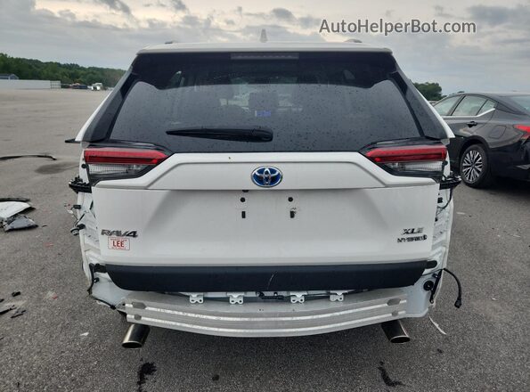 2T3RWRFV7RW198162 2024 TOYOTA RAV4 White 