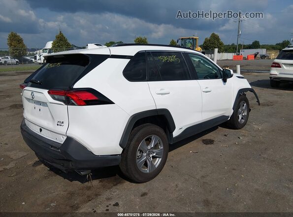 2T3RWRFV8SW282142 2025 TOYOTA RAV4 HYBRID White Tył prawy