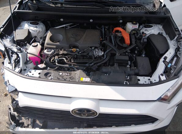 2T3RWRFV8SW282142 2025 TOYOTA RAV4 HYBRID White Widok z tyłu