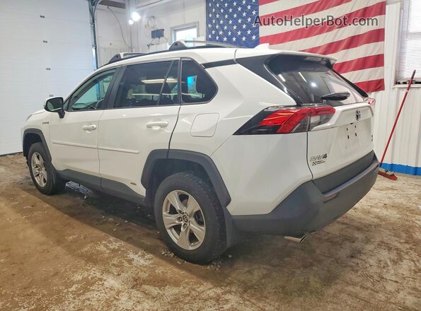 2T3RWRFVXMW113128 2021 TOYOTA RAV4 White Tył lewy