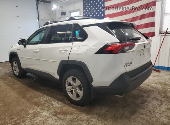 2T3RWRFVXMW113128 2021 TOYOTA RAV4 White 