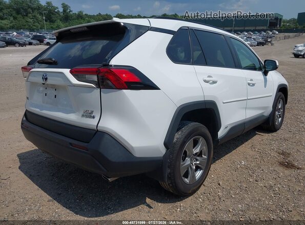 2T3RWRFVXRW194123 2024 TOYOTA RAV4 HYBRID White Задня права чверть