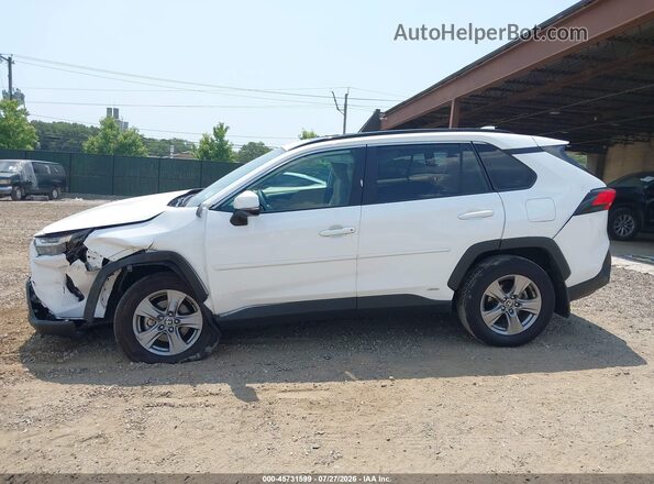 2T3RWRFVXRW194123 2024 TOYOTA RAV4 HYBRID White 