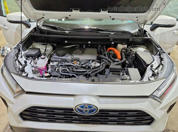 2T3T6RFV1RW067914 2024 TOYOTA RAV4 White Vista interior trasera