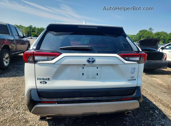 2T3T6RFV8RW049667 2024 TOYOTA RAV4 White Rear view