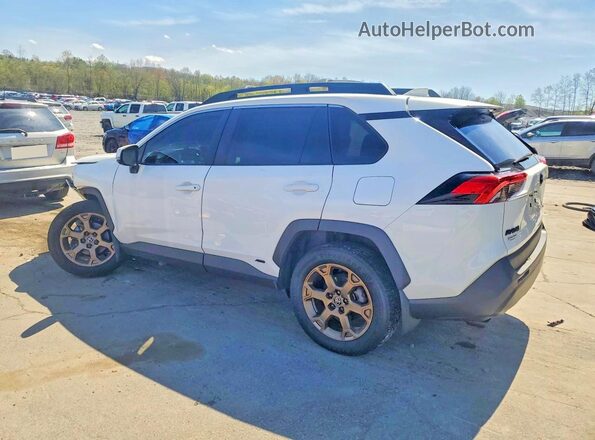 2T3UWRFV4PW174523 2023 TOYOTA RAV4 White Հետևի ձախ