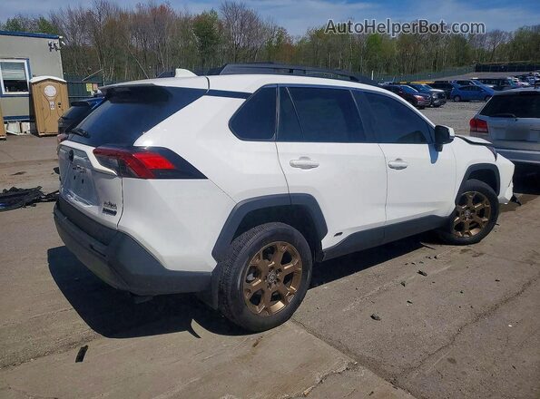 2T3UWRFV4PW174523 2023 TOYOTA RAV4 White Հետևի աջ