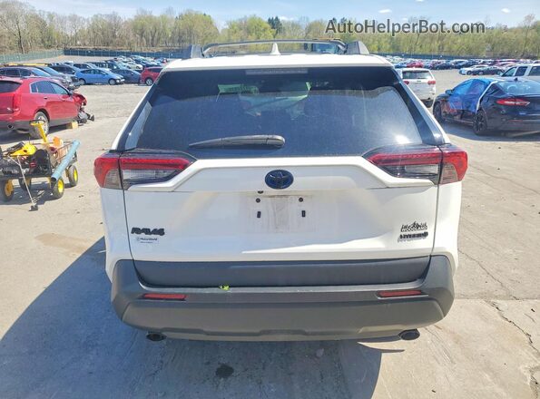 2T3UWRFV4PW174523 2023 TOYOTA RAV4 White Հետևի տեսք