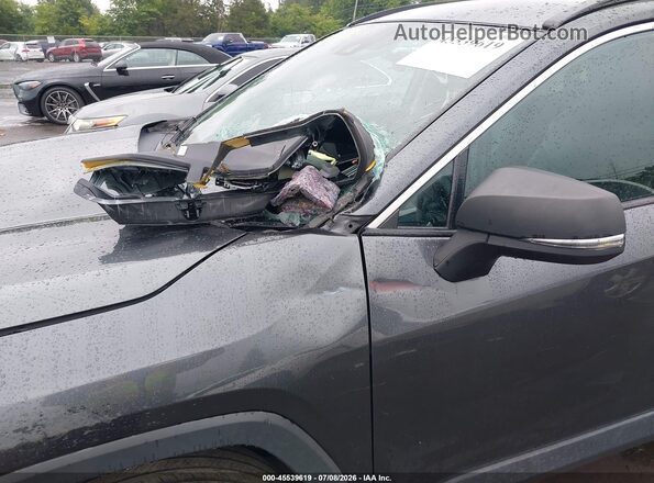 2T3W1RFV0LC052213 2020 TOYOTA RAV4 Серый Вид спереди