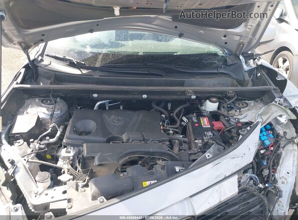 2T3W1RFV0LW078924 2020 TOYOTA RAV4 Серый Вид сзади
