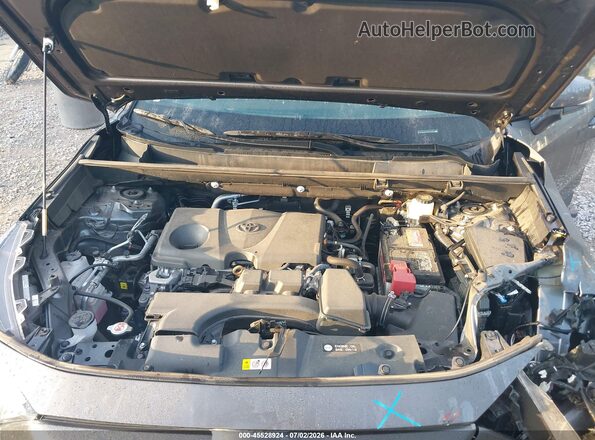 2T3W1RFV0PC228666 2023 TOYOTA RAV4 Серый Вид сзади