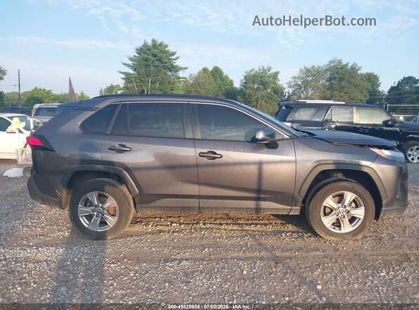 2T3W1RFV0PC228666 2023 TOYOTA RAV4 Серый Вид задней части салона