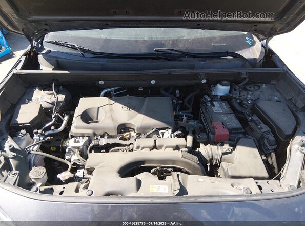 2T3W1RFV1LW078432 2020 TOYOTA RAV4 Серый Вид сзади