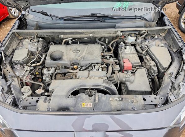 2T3W1RFV2LW095076 2020 TOYOTA RAV4 Charcoal უკანა სალონის ხედი