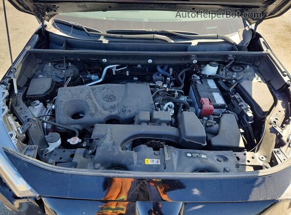 2T3W1RFV3PW240552 2023 TOYOTA RAV4 Black უკანა სალონის ხედი