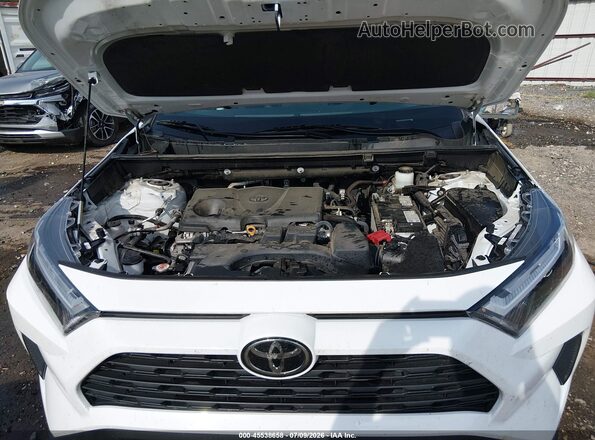 2T3W1RFV3RW329590 2024 TOYOTA RAV4 White Widok z tyłu