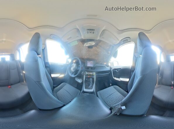 2T3W1RFV4LC075235 2020 TOYOTA RAV4 Gray Панорамний вид салону 360°