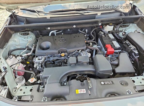 2T3W1RFV4PW263659 2023 TOYOTA RAV4 Gray Widok wnętrza z tyłu