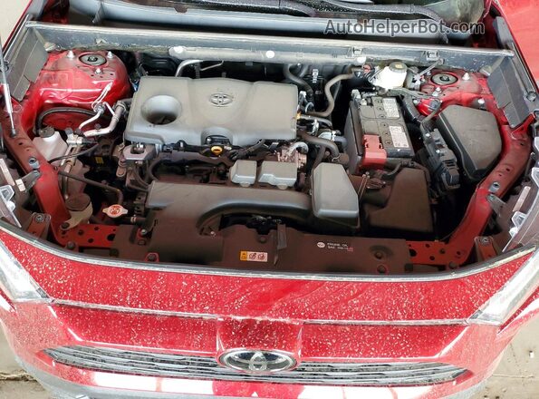 2T3W1RFV4SW443832 2025 TOYOTA RAV4 Red Սալոնի հետևի տեսք
